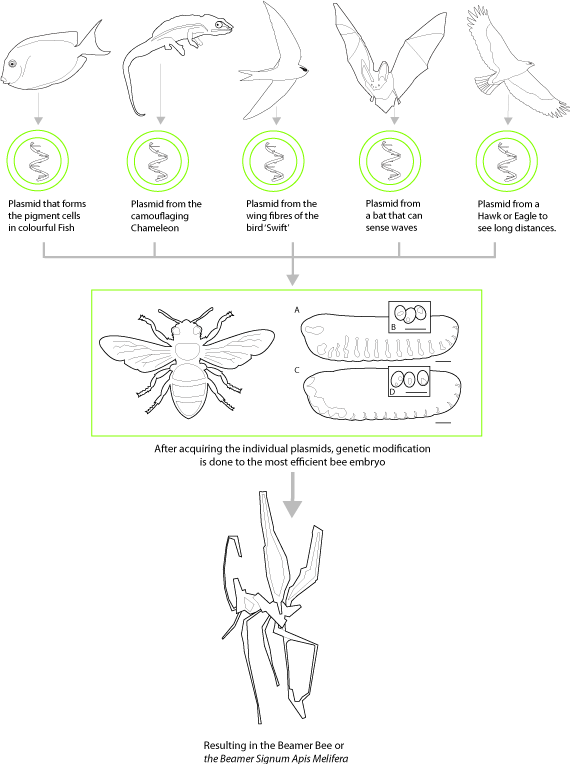 bee_graph_final_small